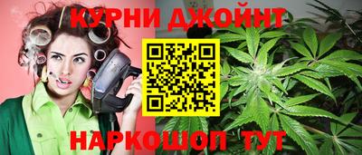 мяу мяу мука Аша