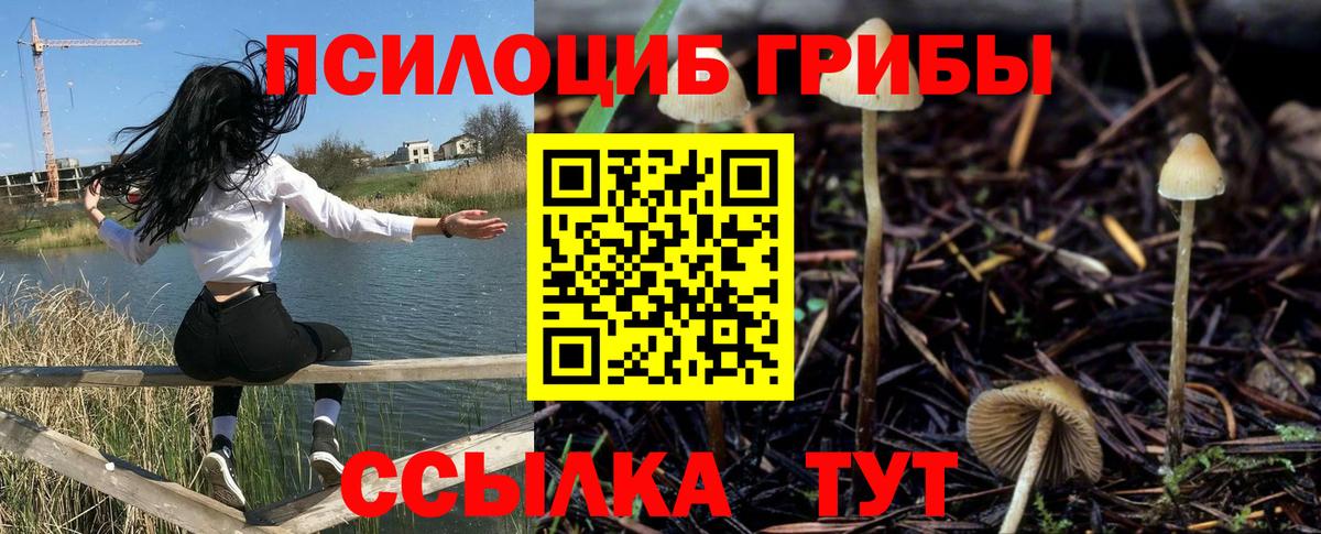 Псилоцибиновые грибы GOLDEN TEACHER  Вход с VPN  Ейск 